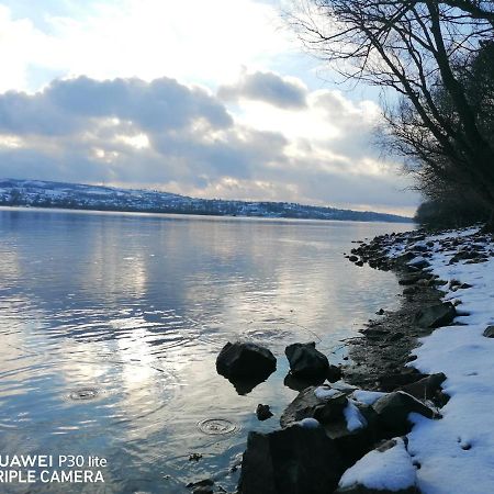 Captain'S House By The Danube River Cerevic Екстериор снимка